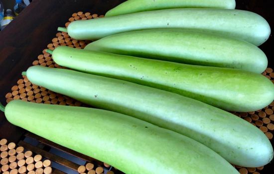 Bottle Gourd