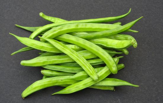 Custer Beans_ Guar