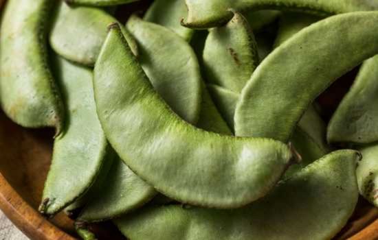 BROAD BEANS