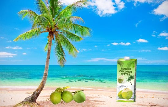 TENDER COCONUT WATER TETRA PACK